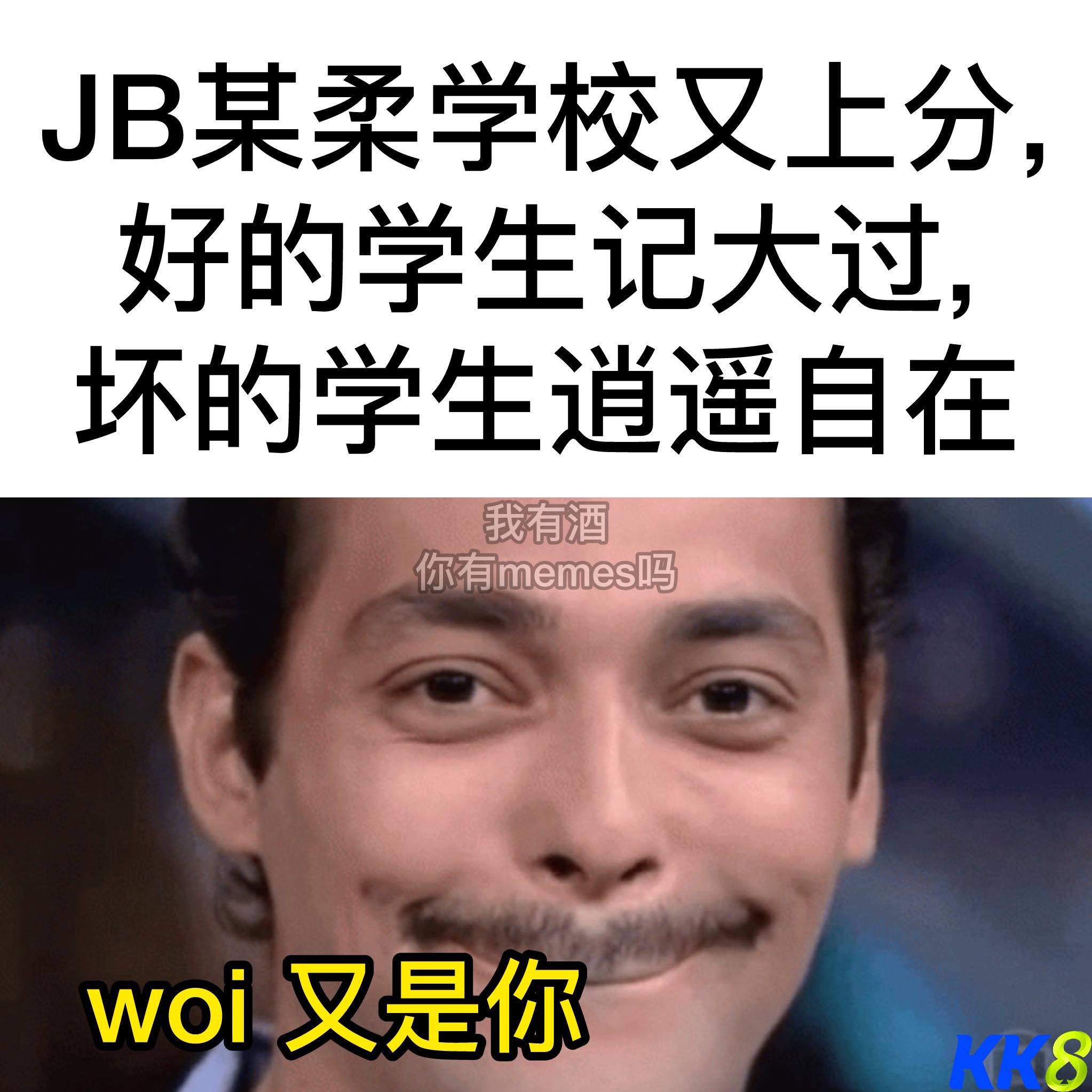 我有酒 你有memes吗 3.0