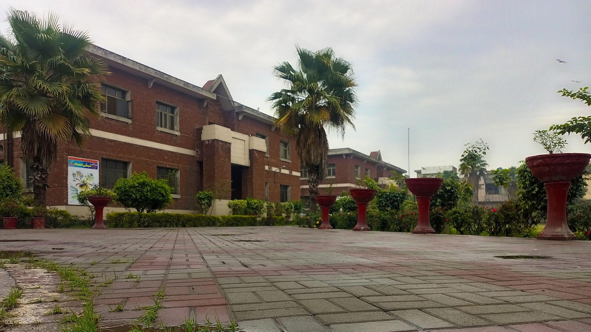 Royal Institute Lahore added a... - Royal Institute Lahore
