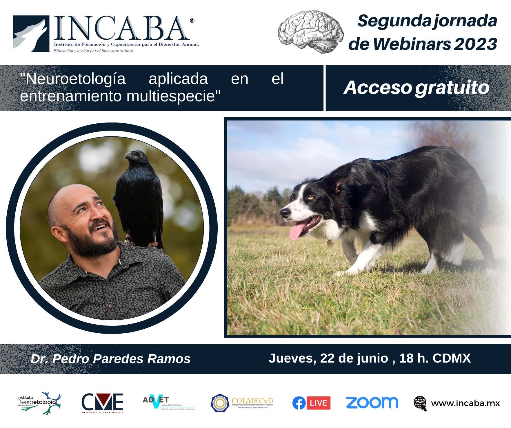 🛑 ¡Alerta INCABA!‼️... - Incaba Servicios Profesionales | Facebook