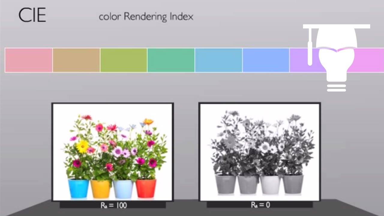 Signify - What is color rendering? What is consistent color temperature ...