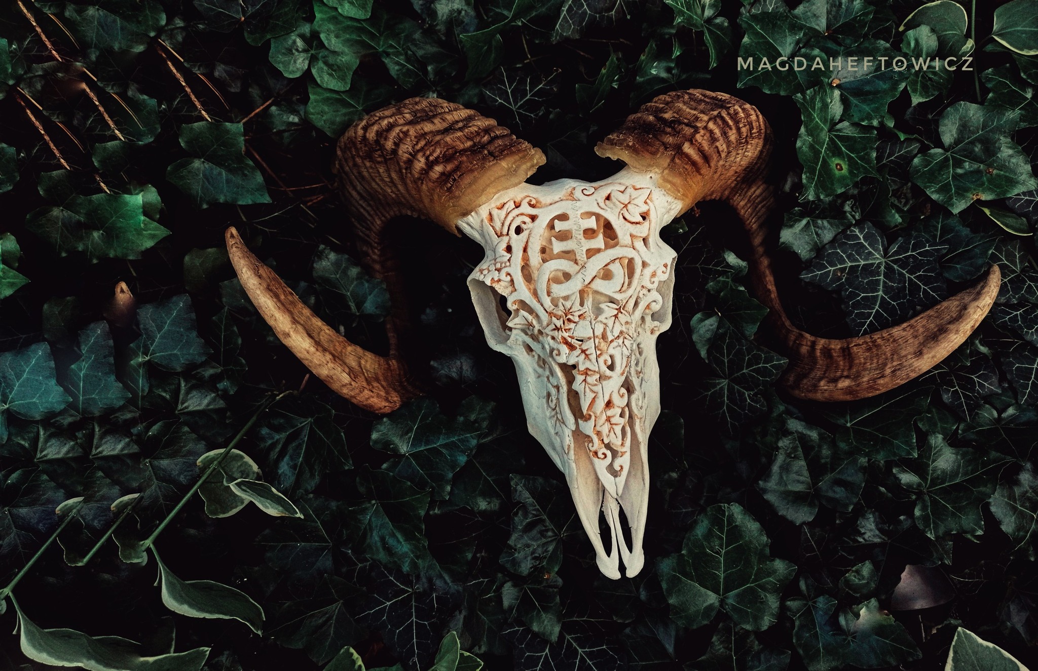 OLD - SKULL Factory - To clean this skull perfectly, I just need to ...