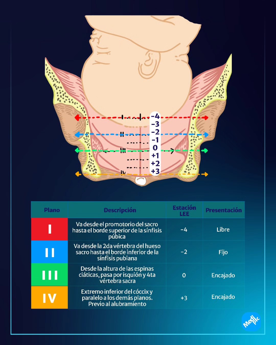 MediLearners - 🤰🏻Los planos de Hodge y estaciones de Lee 📏... | Facebook