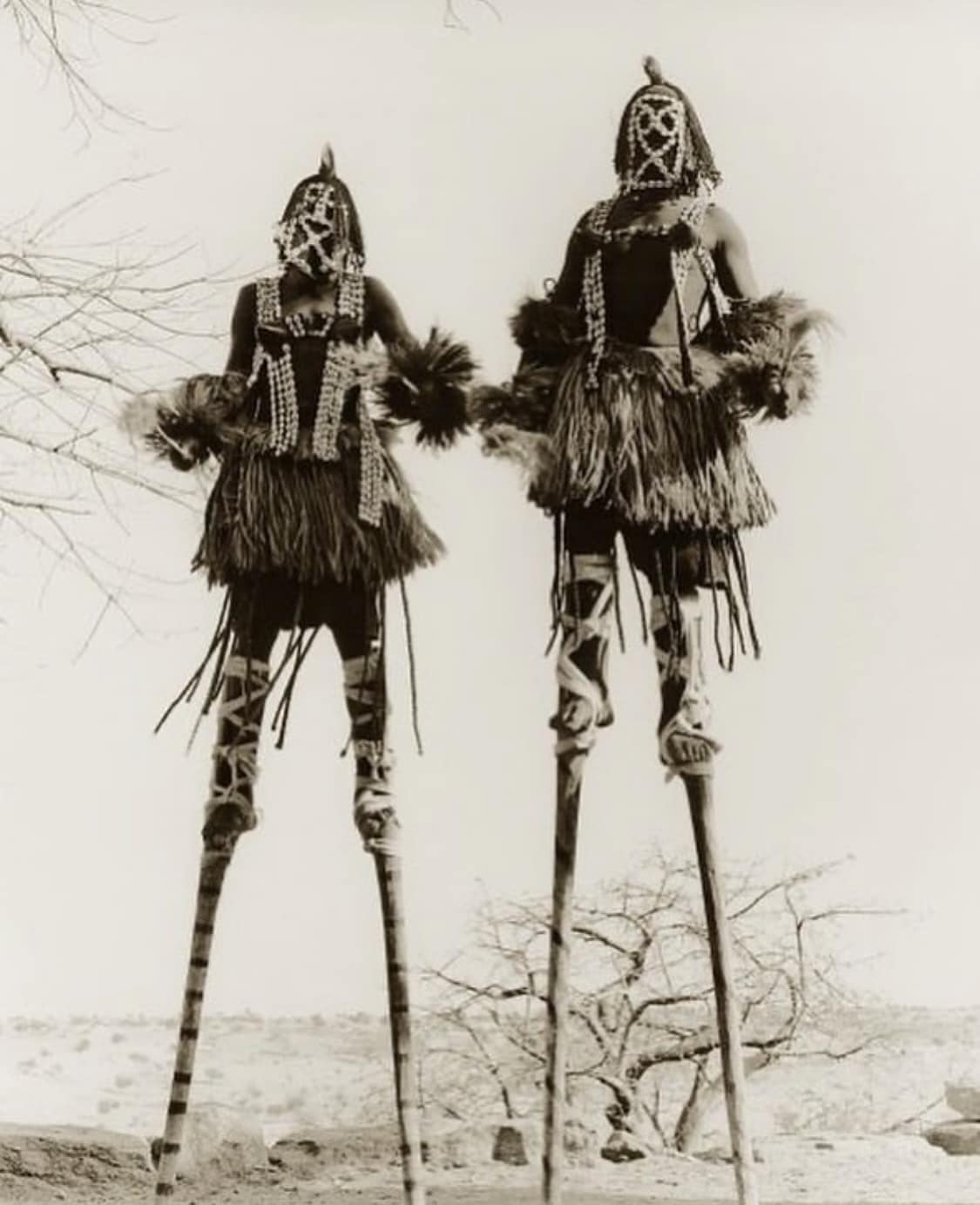 Root - The Dogon elder, Ogotemmêli, taught the main...