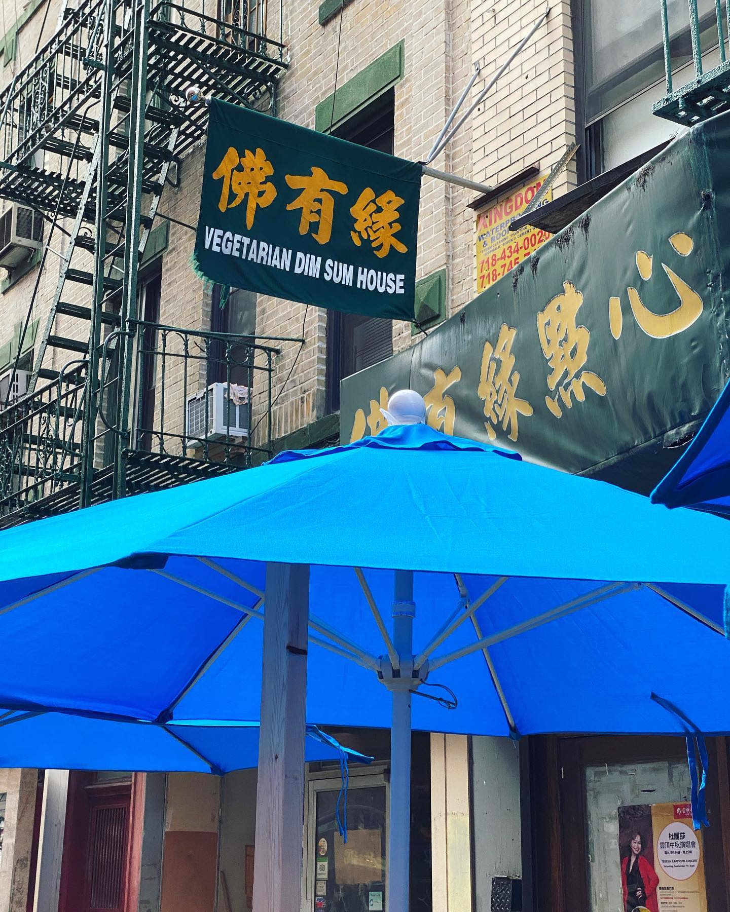 Vegetarian Dim Sum House | New York NY