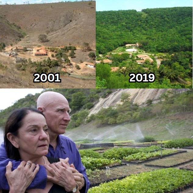 Facts - In Brazil, this couple planted 2 million trees in 18 years ...