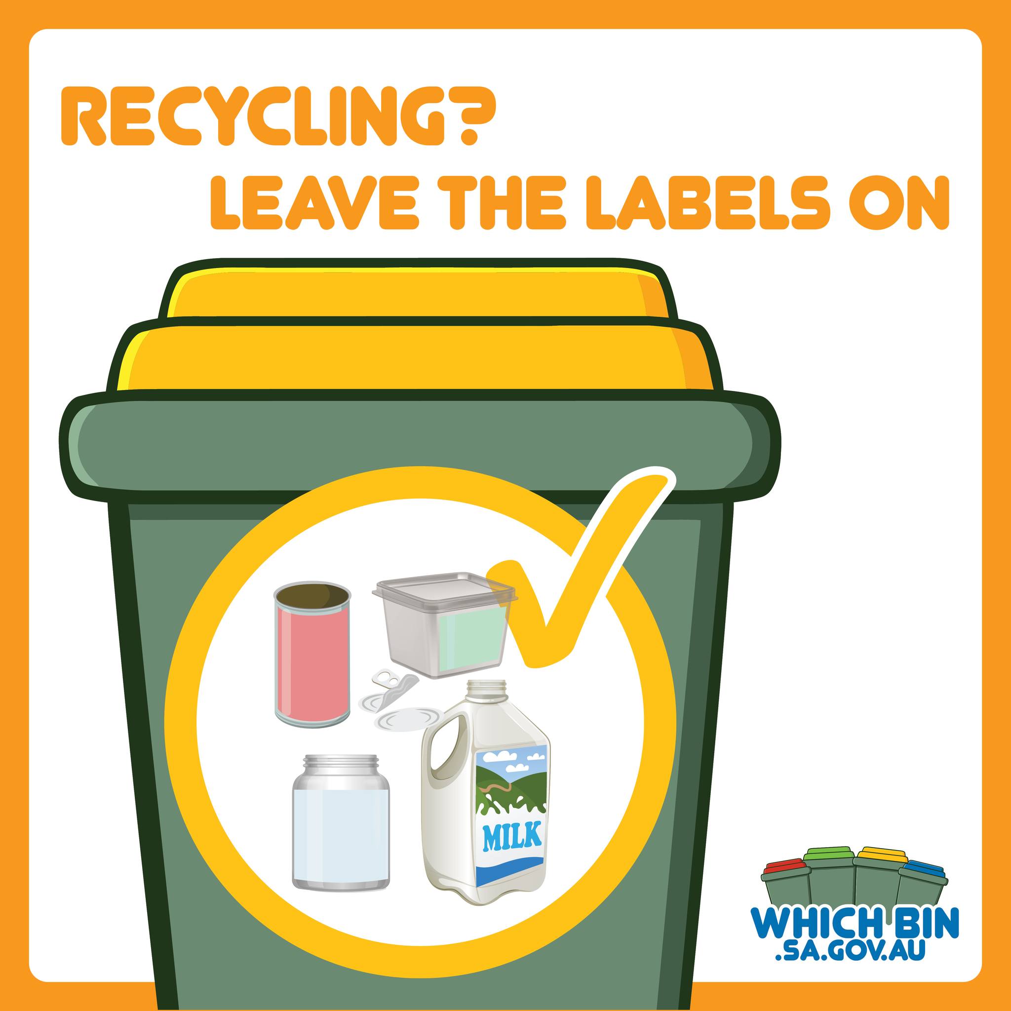 Which Bin? - Ever wondered about whether you need to...