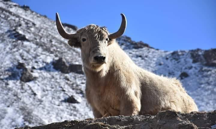 RAMA, Astore, Gilgit Baltistan
