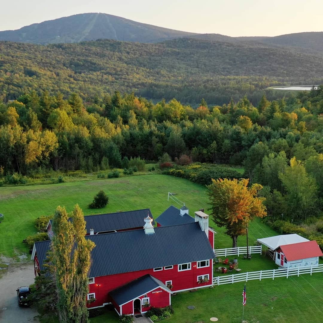 Red Fox | Bondville VT