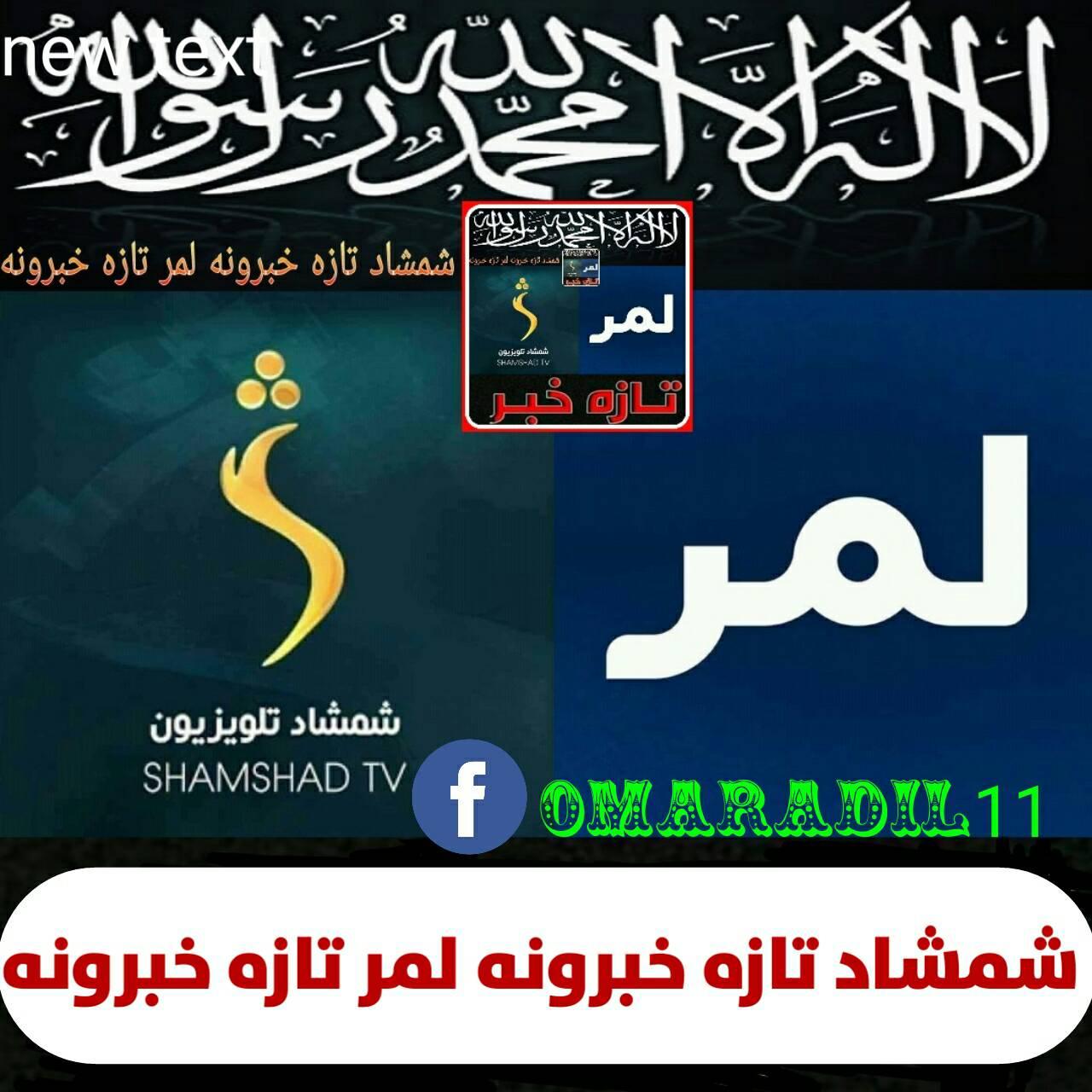 شمشاد تازه خبرونه لمر تازه خبرونه