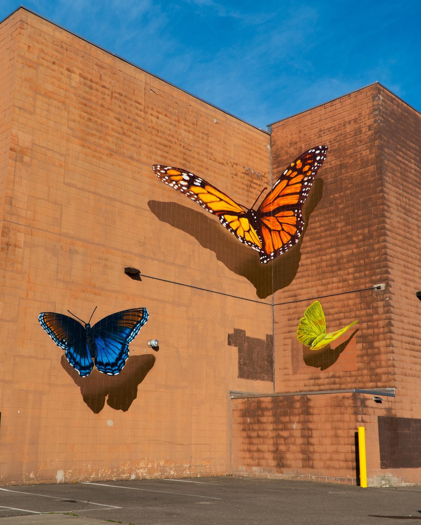 銅版画大作品　Butterfly　effect Butterfly Effect” by CYFI in St. Paul, Minnesota. ♥ 14 Street Art
