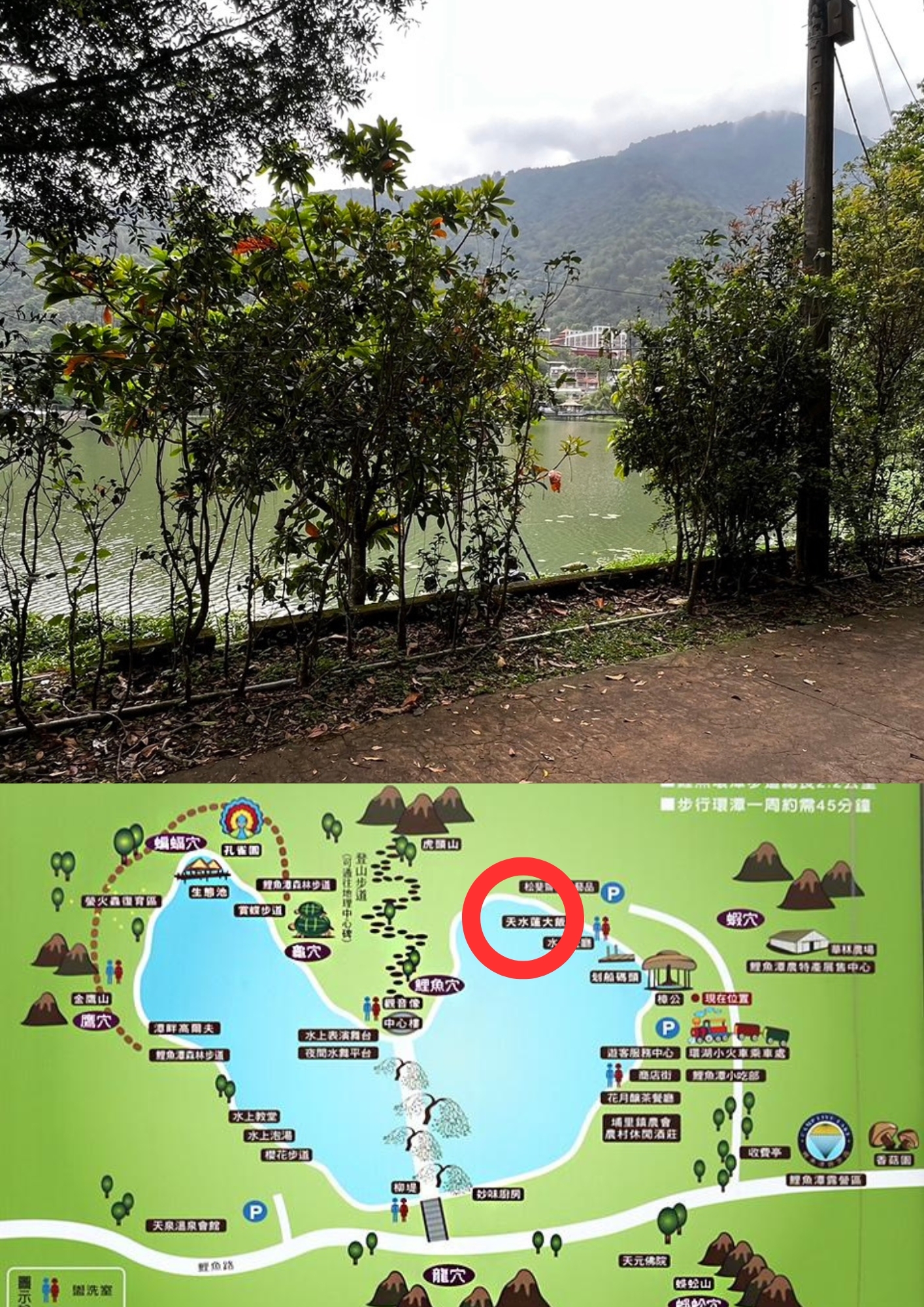 埔里鯉魚潭 - 特殊公告 目前標示位置禁止釣魚與亂丟垃圾 維護園區不易請大家一起愛護這個環境 | Facebook