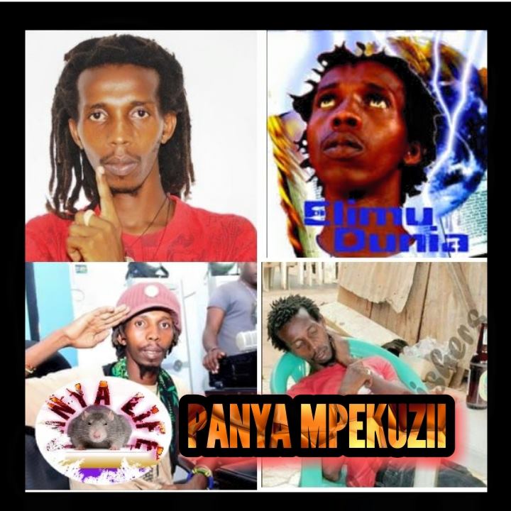 Panya Life Elimu Duniaaa panya life elimu duniaaa