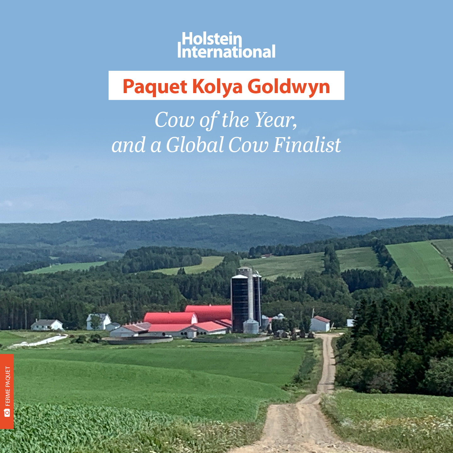 Holstein - Paquet Kolya Goldwyn: Cow of the Year, and a Global Cow ...
