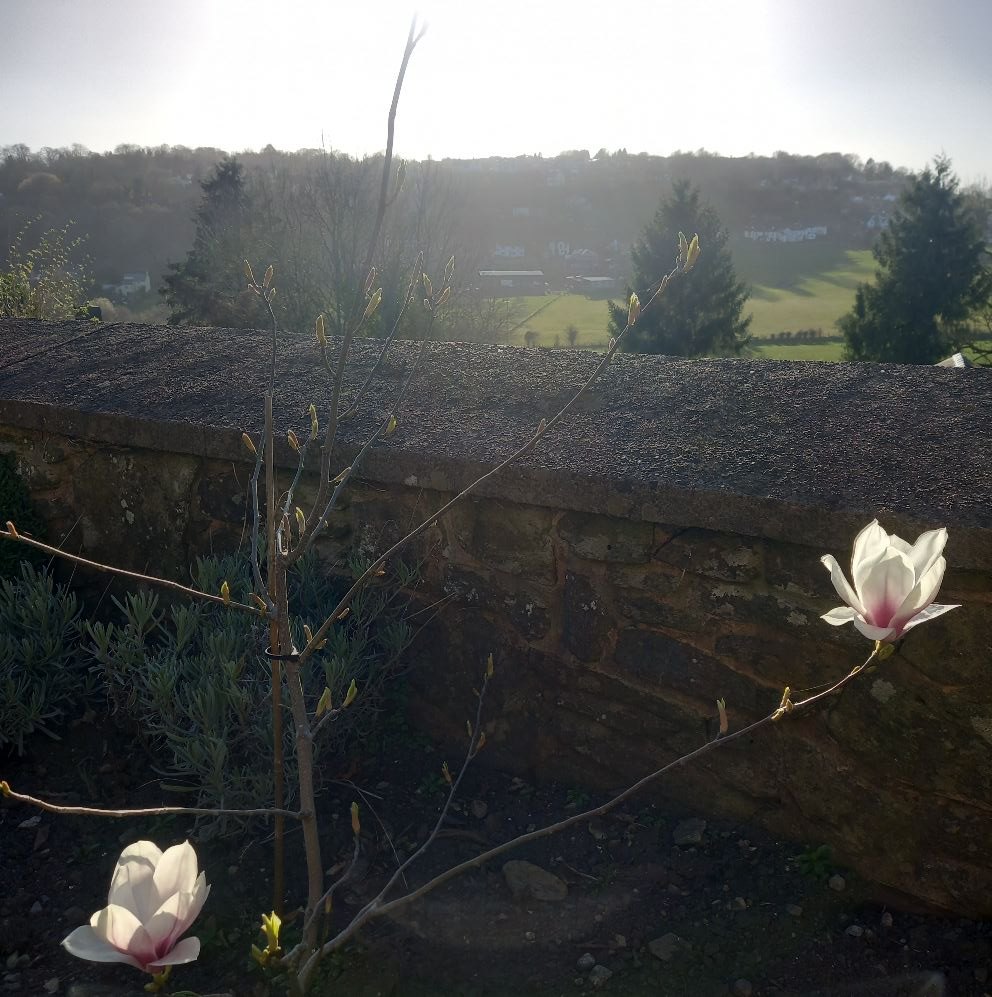 Wyesham Community Page | A466 Wye Valley road notice seen today | Facebook