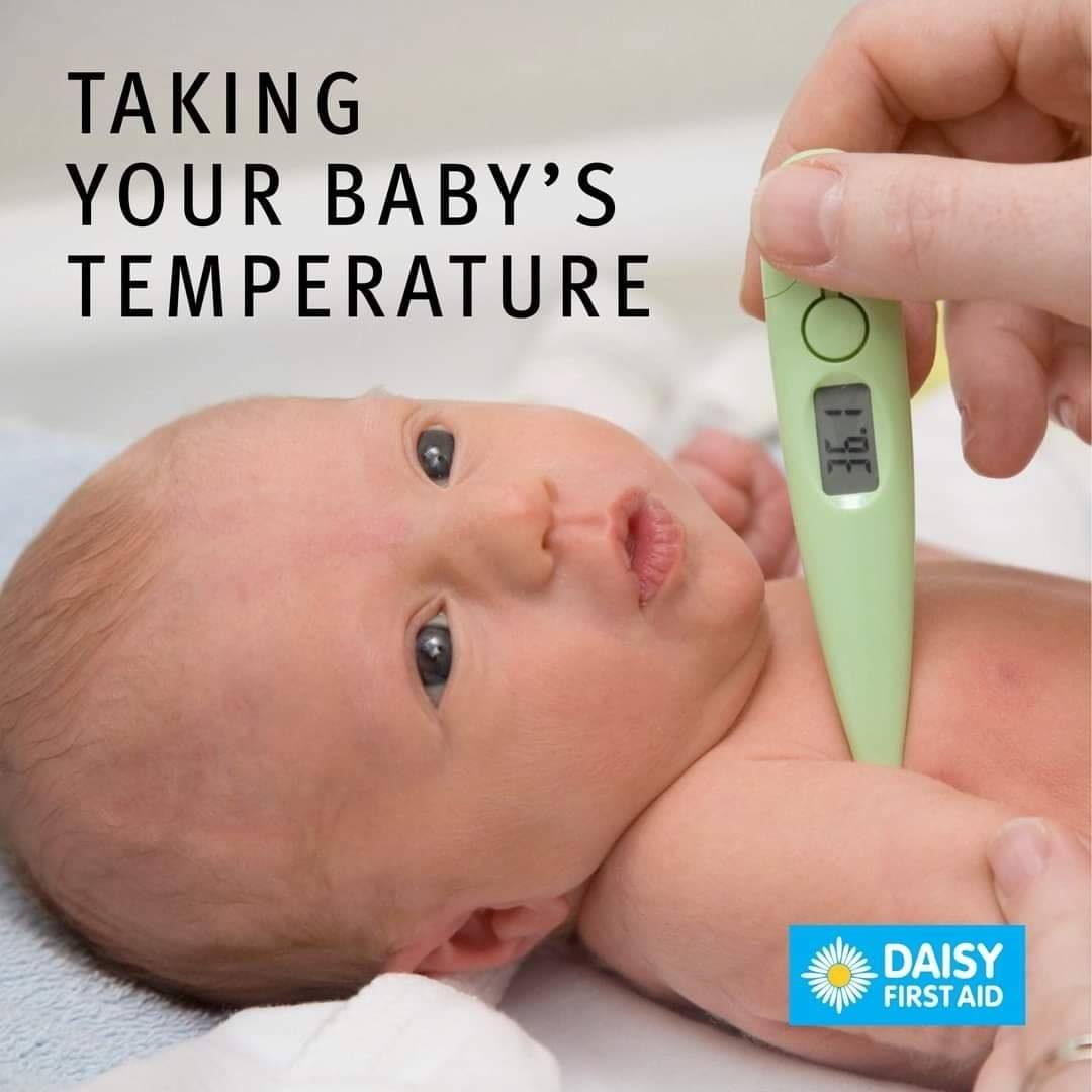 🤒 A normal temperature... - Daisy First Aid Central Scotland | Facebook