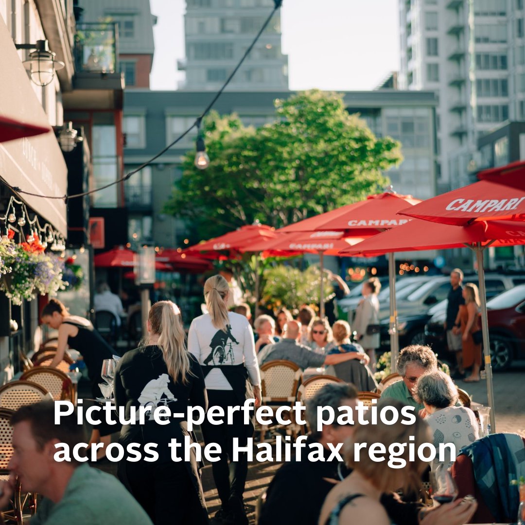 there-s-no-better-way-to-welcome-the-discover-halifax