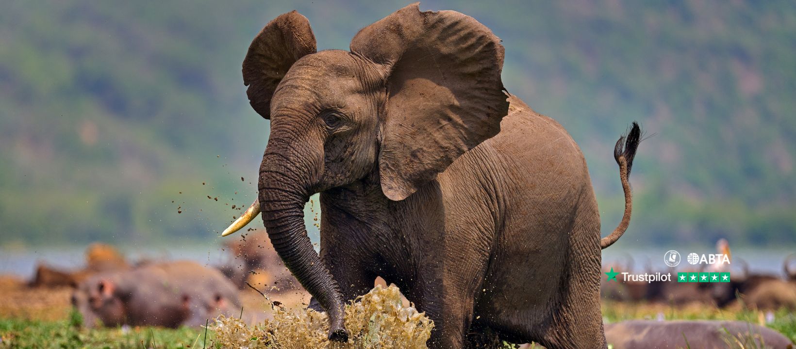 Freedom Destinations - The Africa Experts | Hertford
