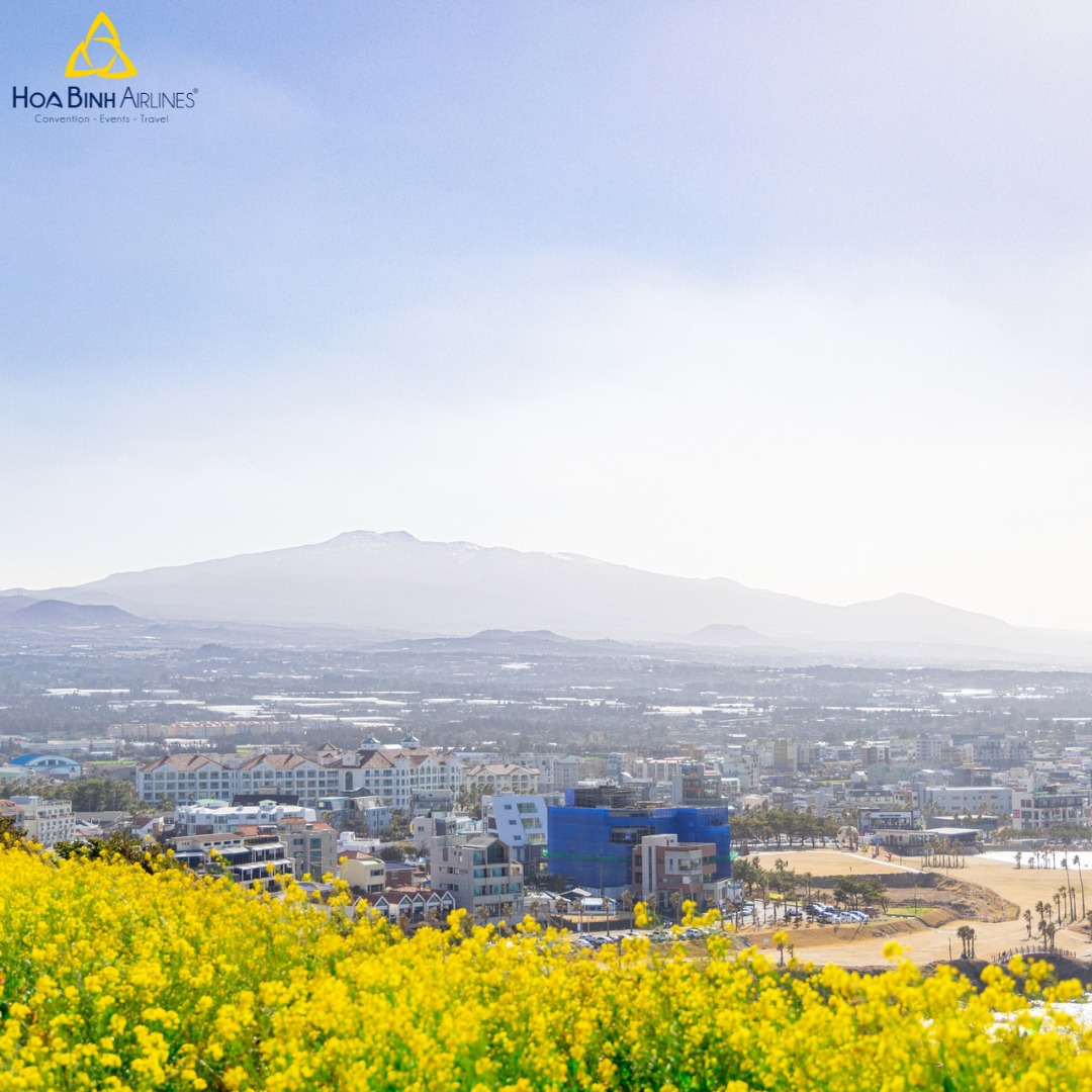 🍊🖼 Hòn đảo thần bí Jeju của Hàn Quốc -... - HoaBinh Airlines