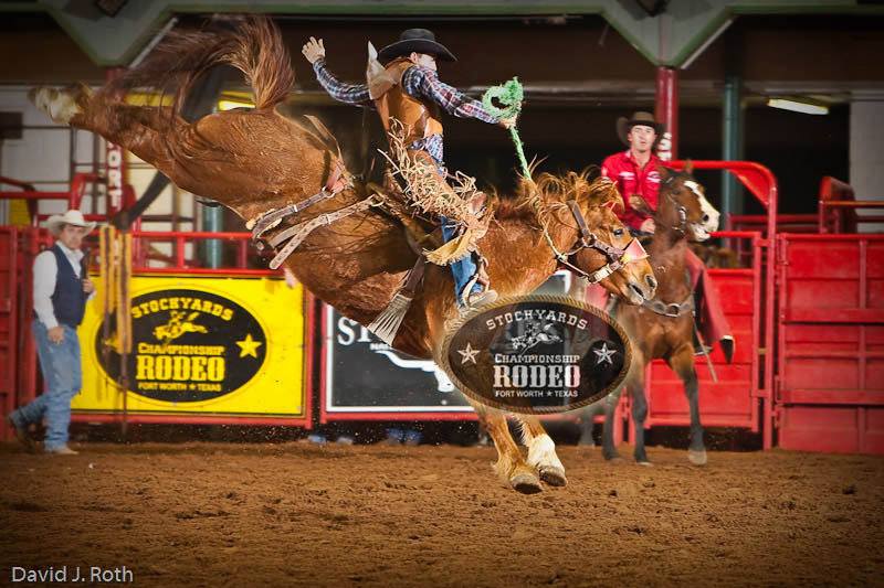 Cowtown Coliseum - The rodeo is back in action this weekend! Come on ...