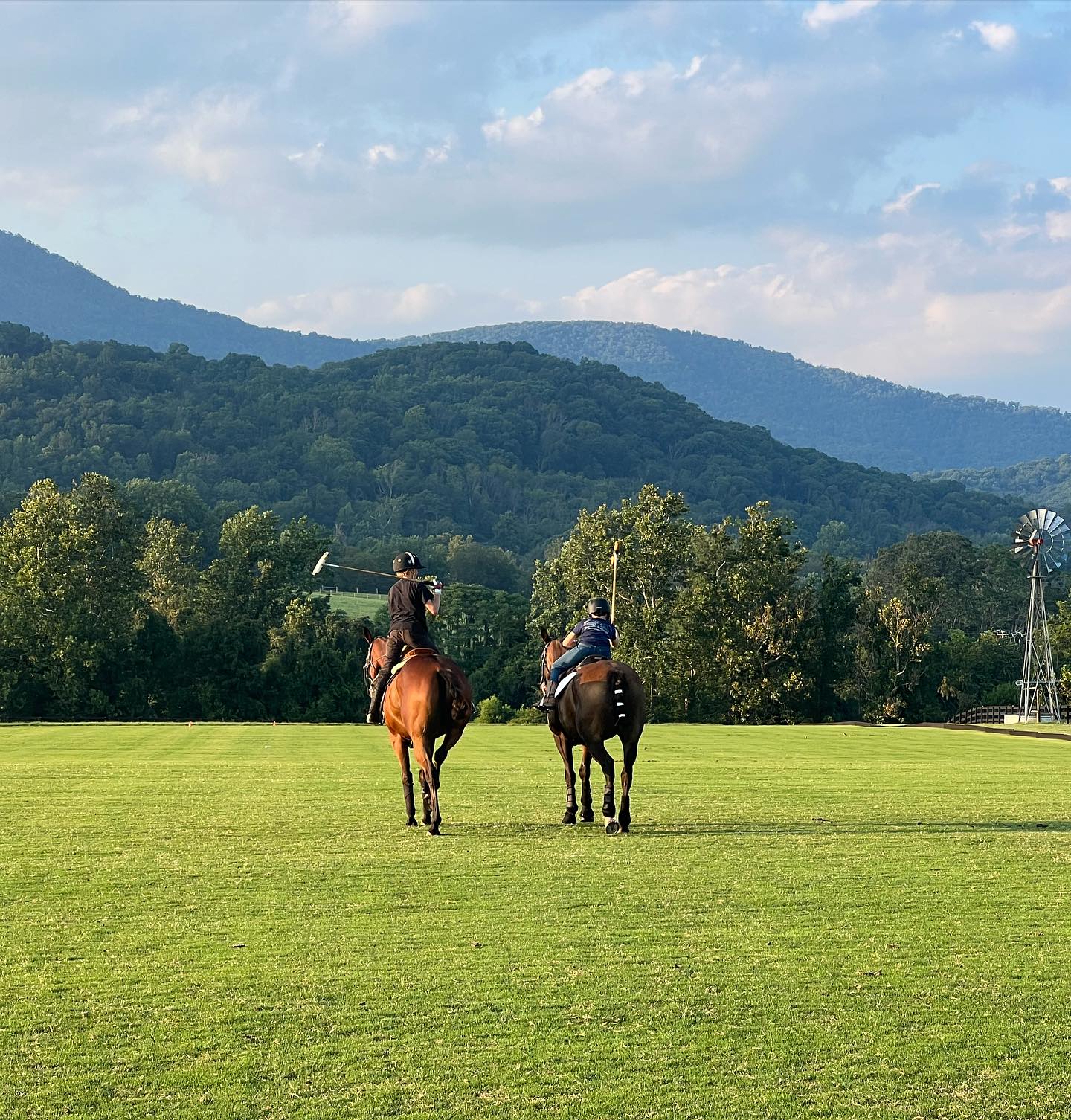 Cannon Ridge Farm | Afton VA