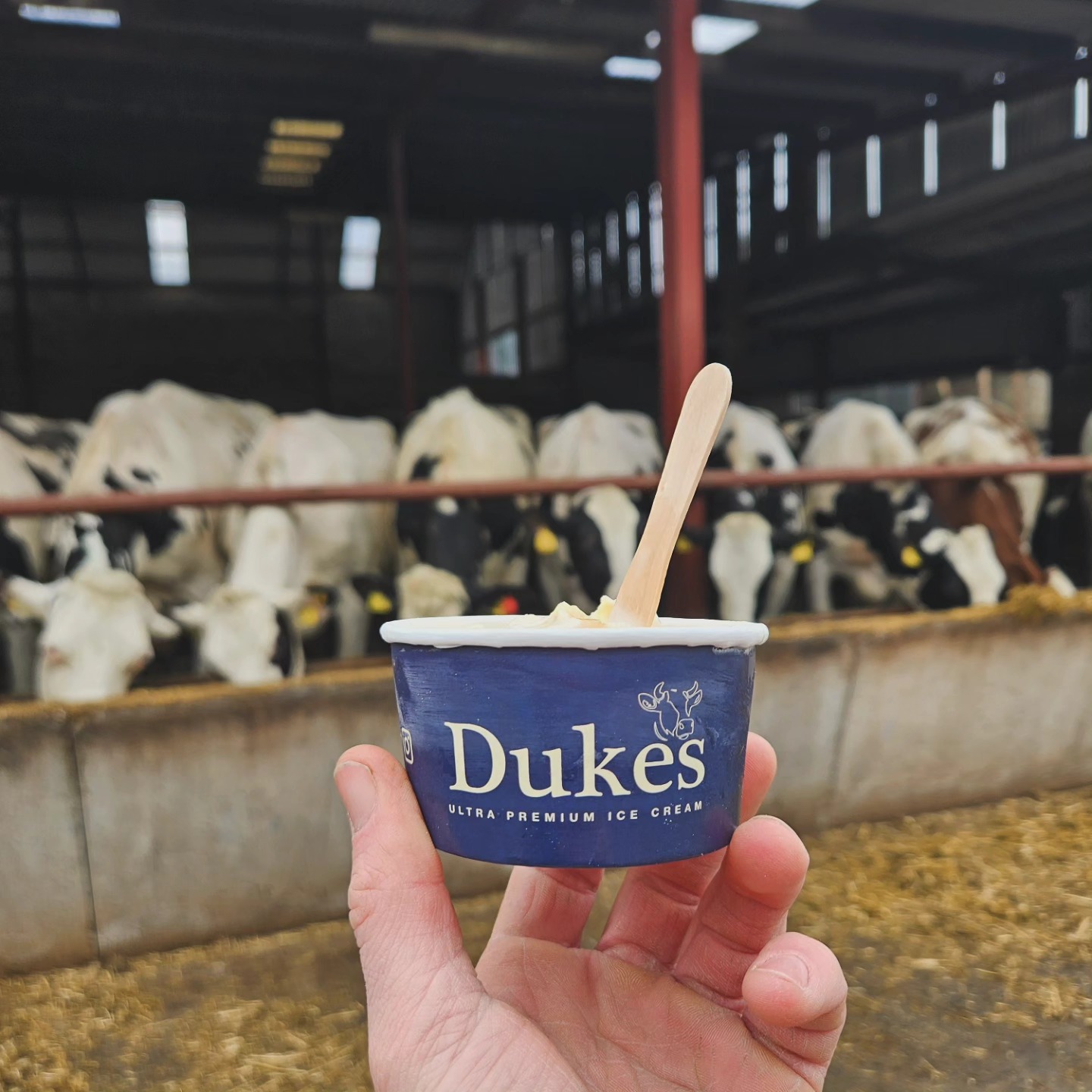 dukes-ultra-premium-ice-cream-gortin