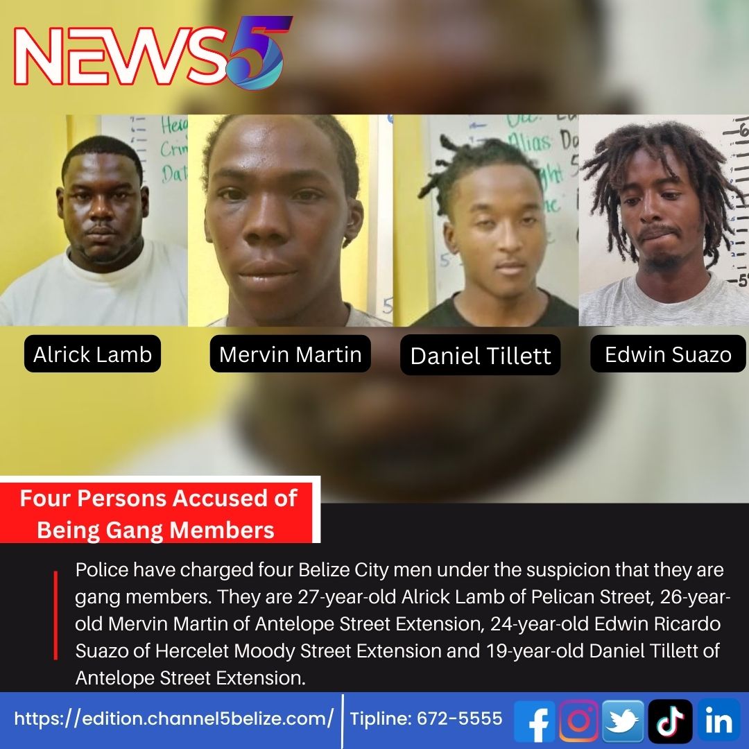 News 5 Live - Four Persons Accused of Being Gang Members...