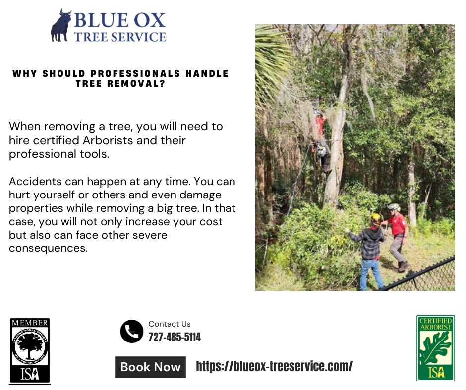 Blue Ox Tree Service