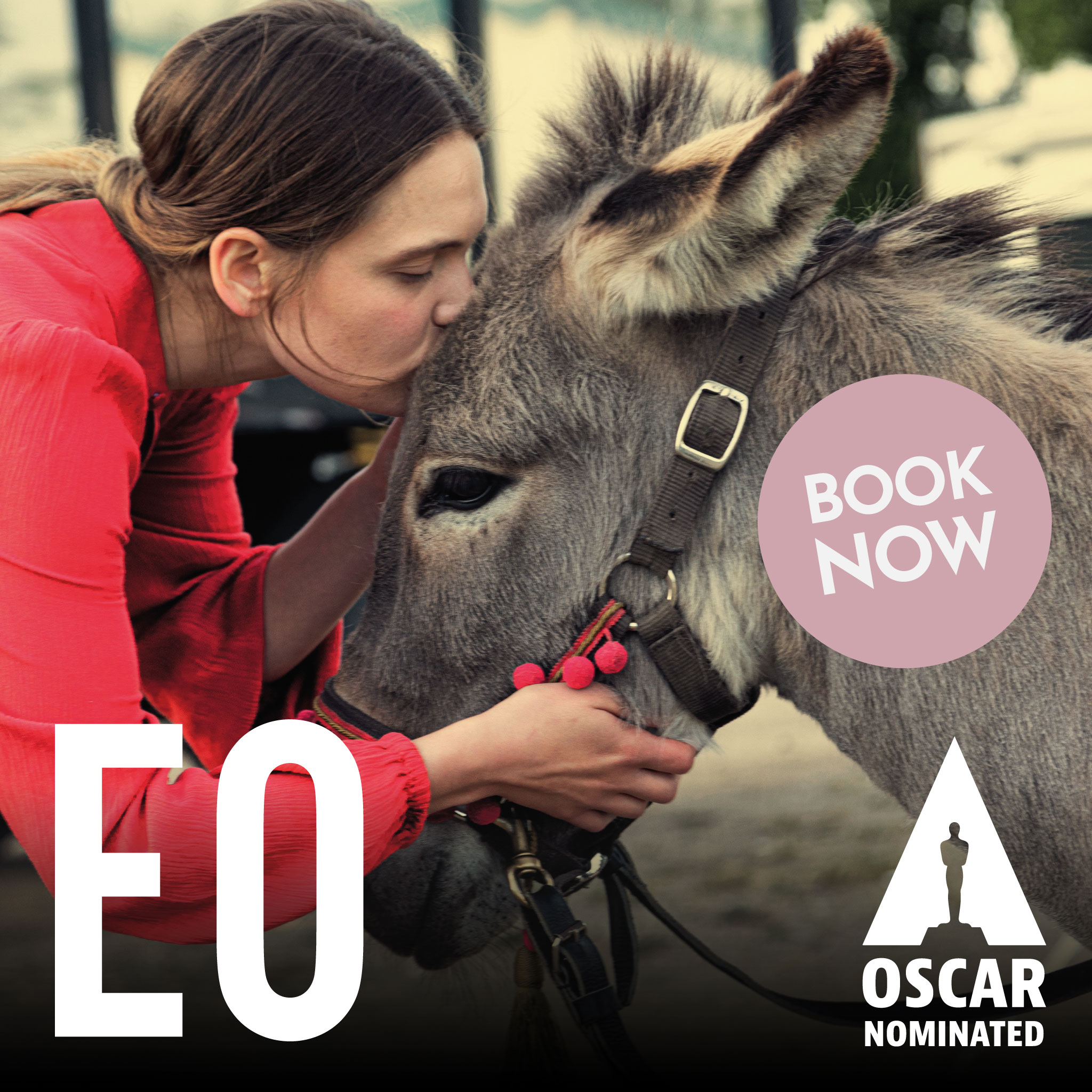 Ilkley Cinema - 🎬👉🏻 Exciting news! A fresh batch of...