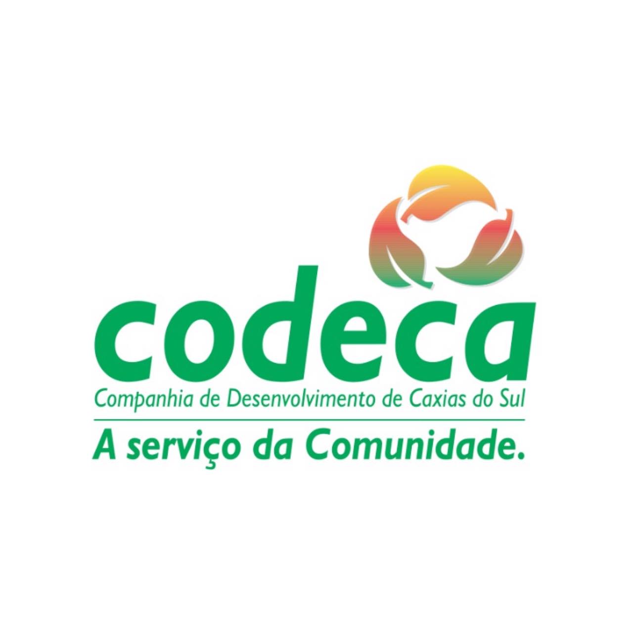 Codeca - Codeca added a new photo.