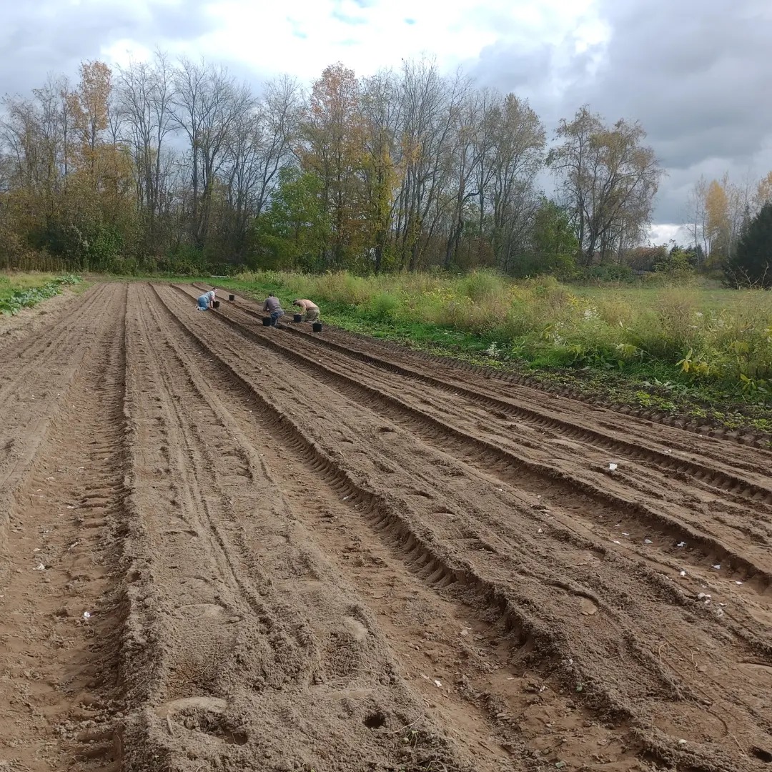 Freedom Rains Farm | Pulaski NY
