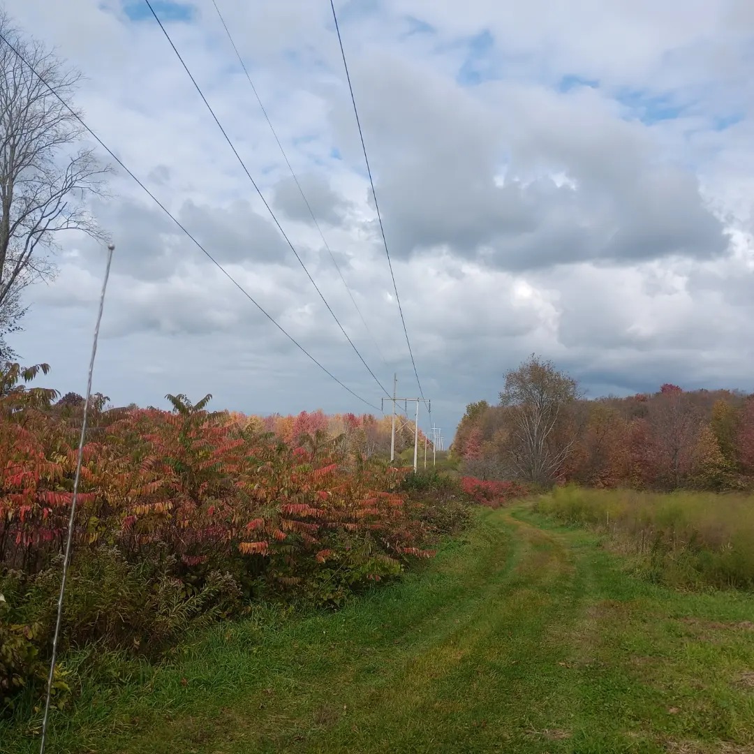 Freedom Rains Farm | Pulaski NY