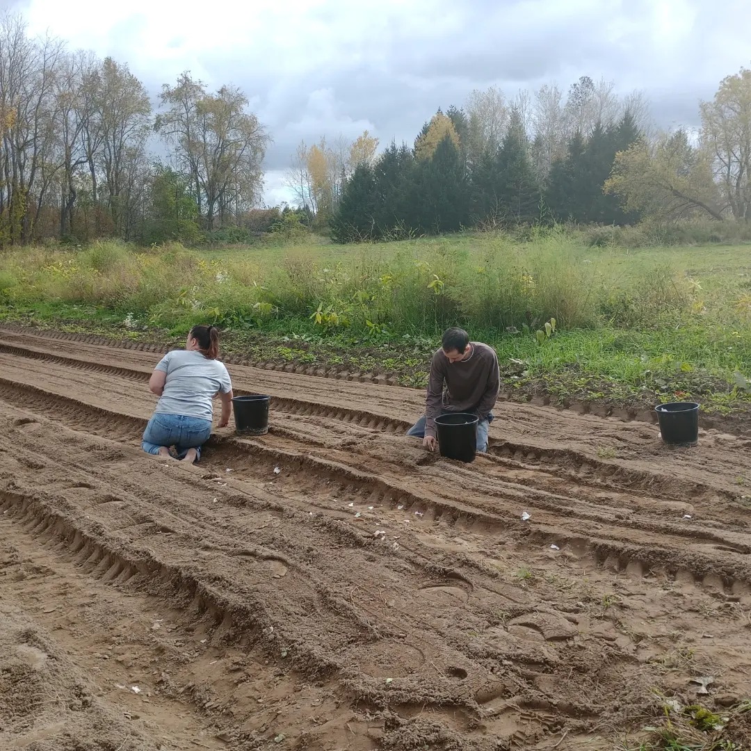 Freedom Rains Farm | Pulaski NY