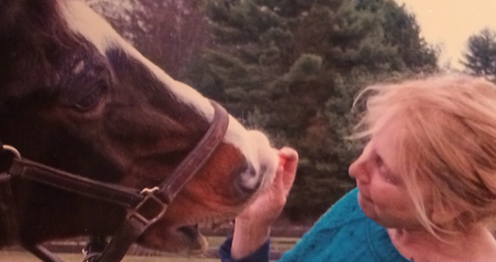 Carrie Ruggieri, LMHC, BCETS | Providence RI