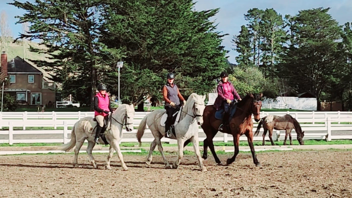 Mendenhall Wool Ranch added a new... - Mendenhall Wool Ranch