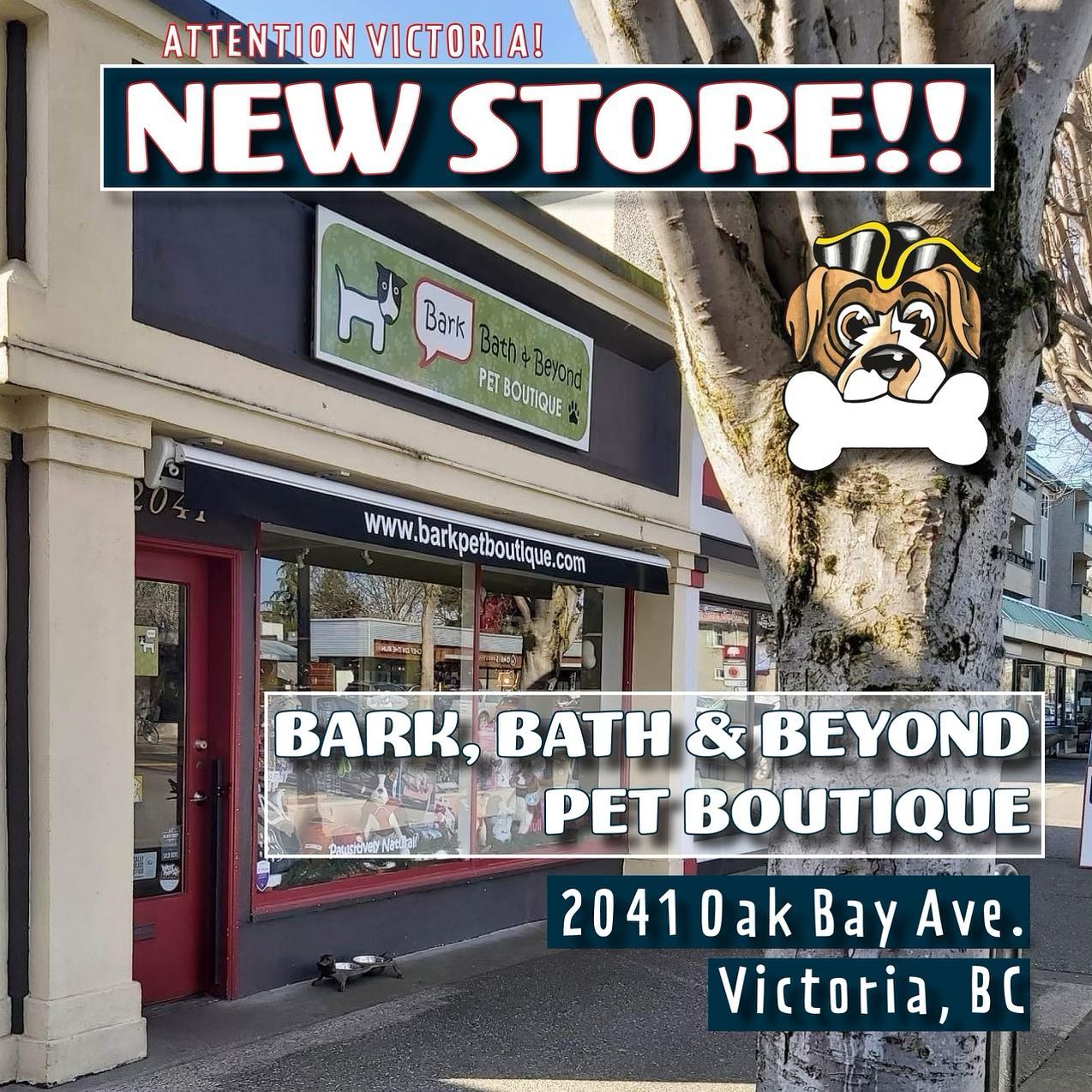 Bark Bath Beyond