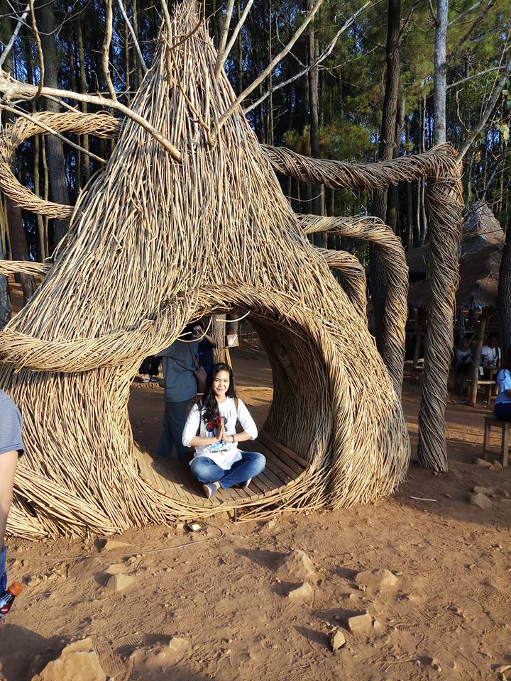 Hutan Pinus Pengger Jogja | Yogyakarta City