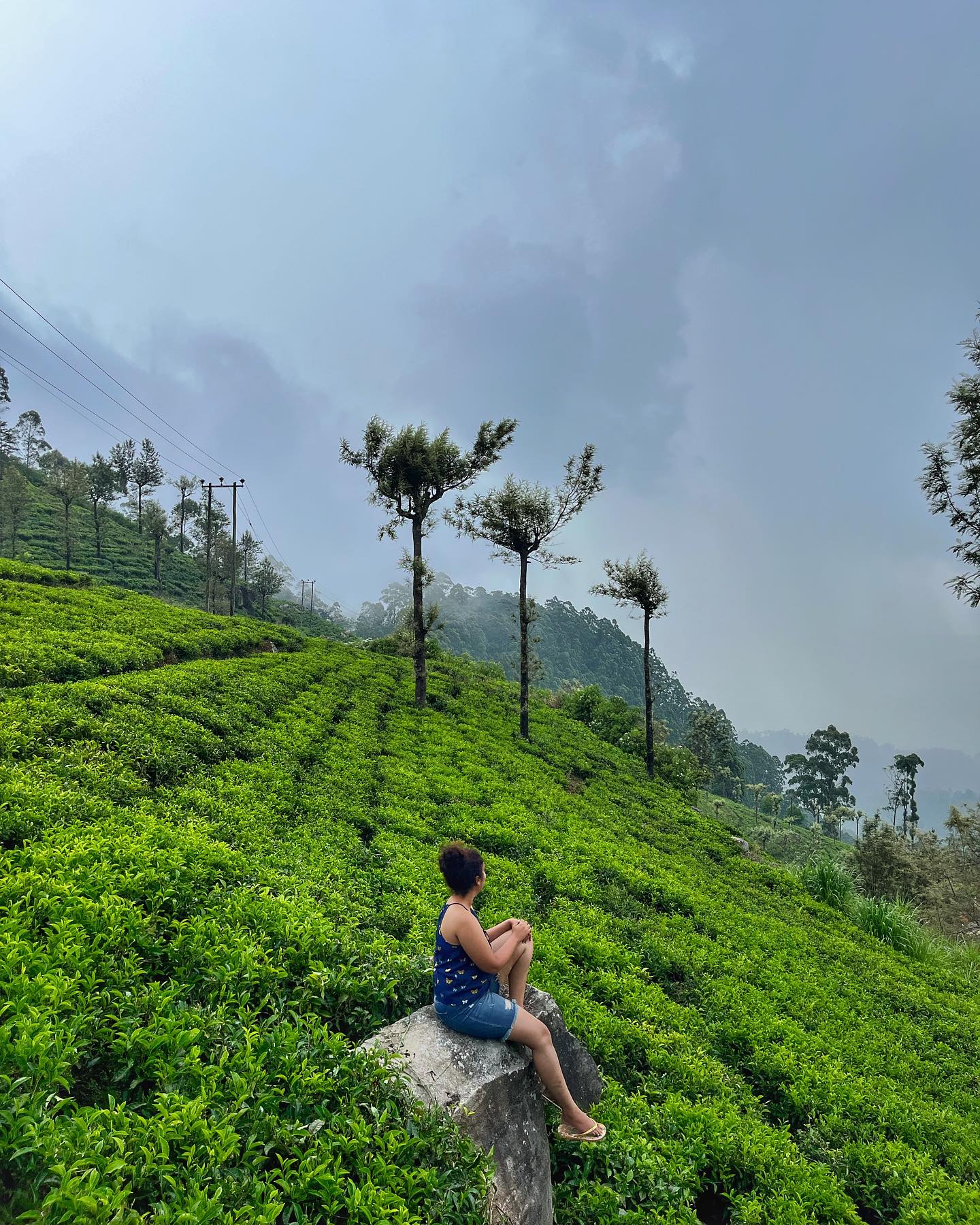 That Goan Girl - Tea and tranquility. 📌 Ella, Sri Lanka... | Facebook