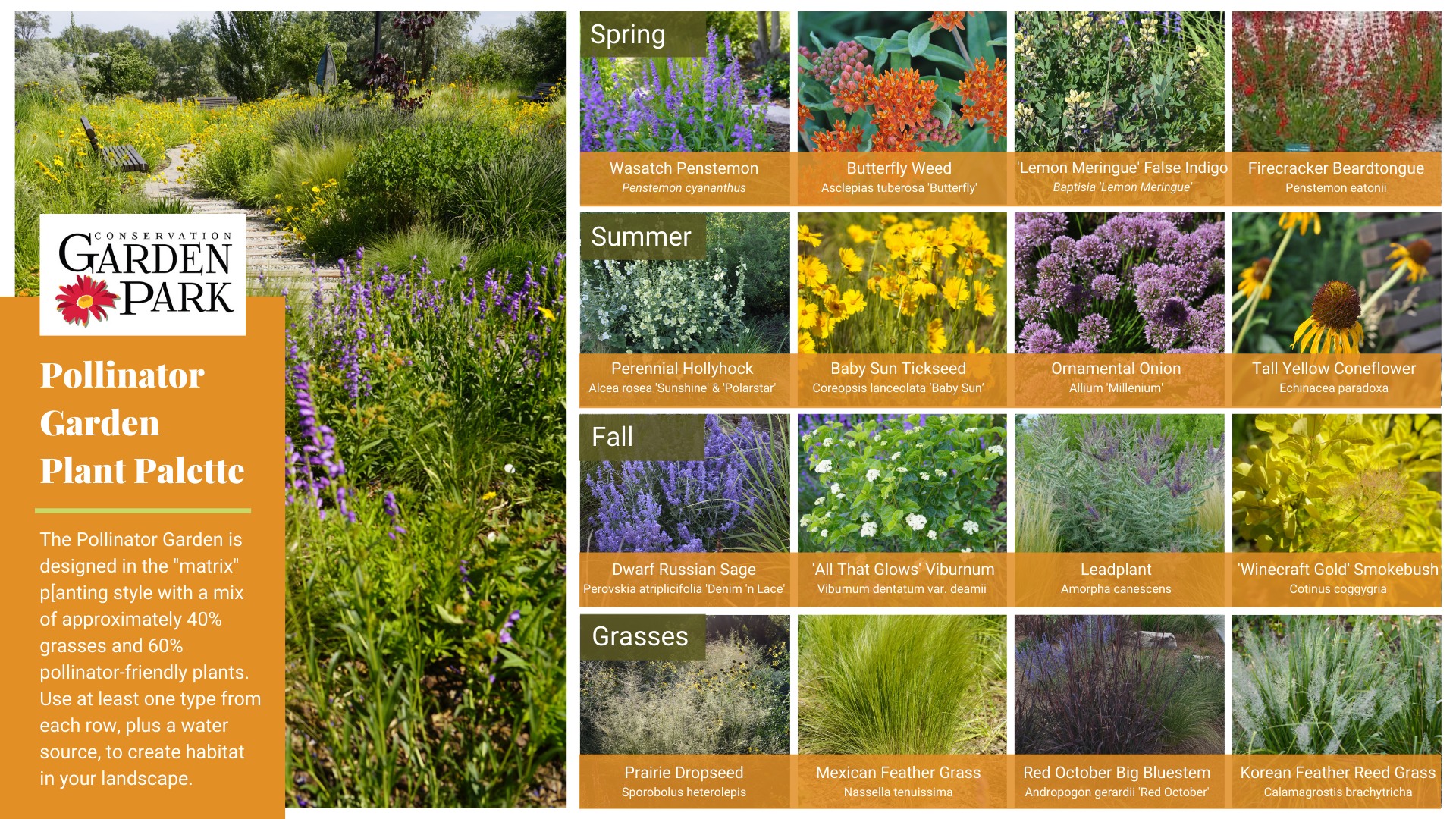 Conservation - It's Pollinator Week! If you've never visited the Paths ...