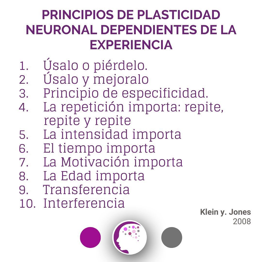NeuroAlicante - Estos son los principios de la plasticidad... | Facebook