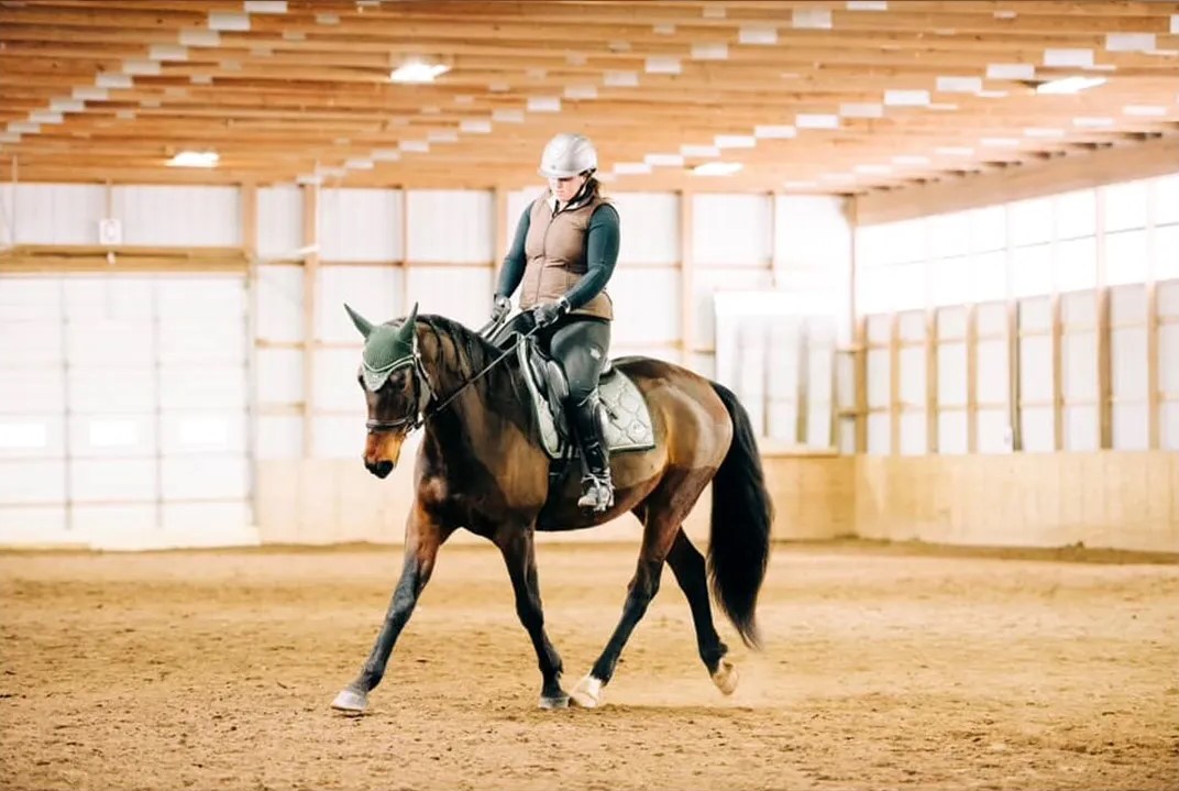 Curated visual reference: United Our Local English And Western Dressage And Eventing Photo Inspiration