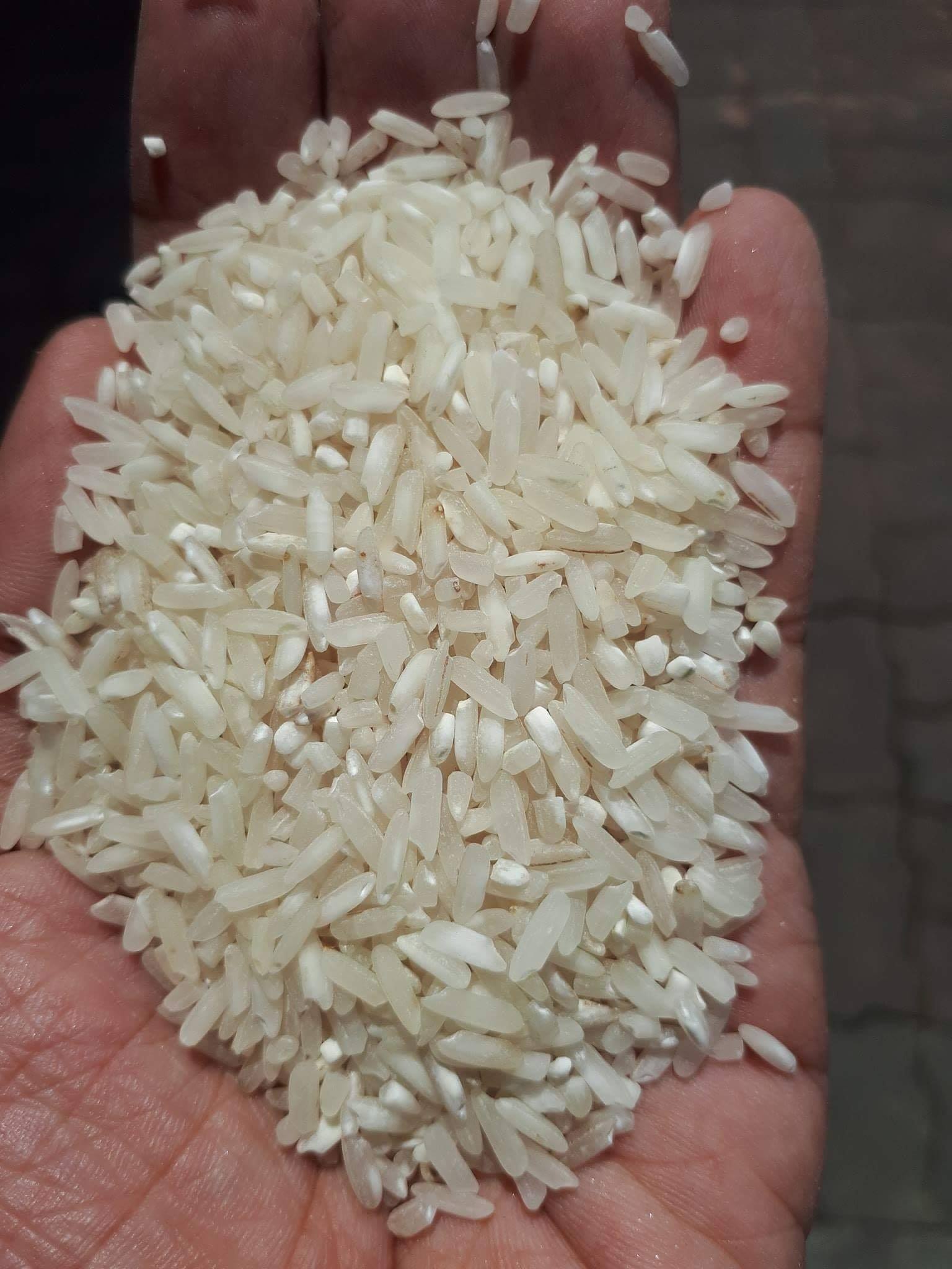 Grains and MORE - New Pricelist 25kgs HALF SACK FREE NA... | Facebook