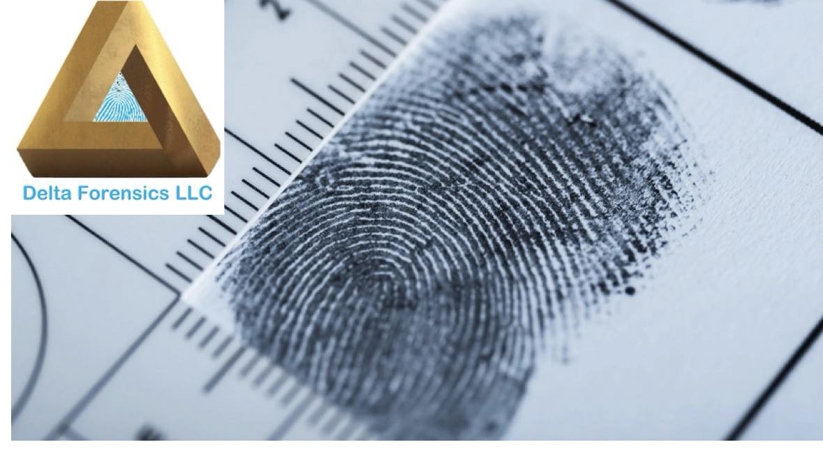 The Advanced Comparison Bundle is... - Delta Forensics, LLC