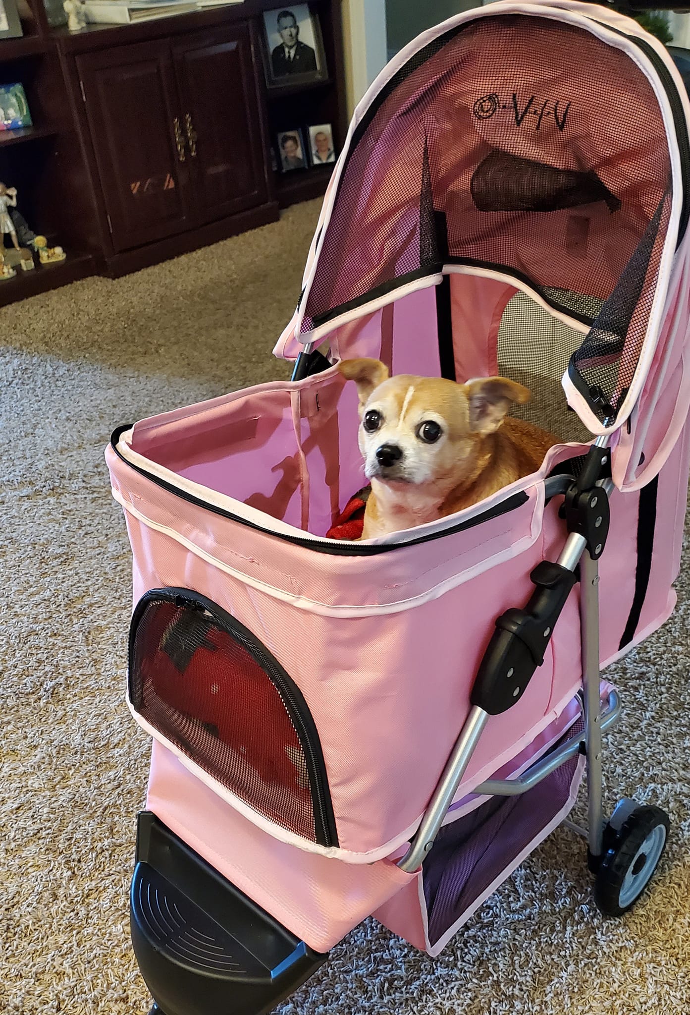 safety first travel stroller 1st Smooth Ride System, Monument Color:C187X68B Bell MX-9 MIPS Helmet ws_group facing position from 4