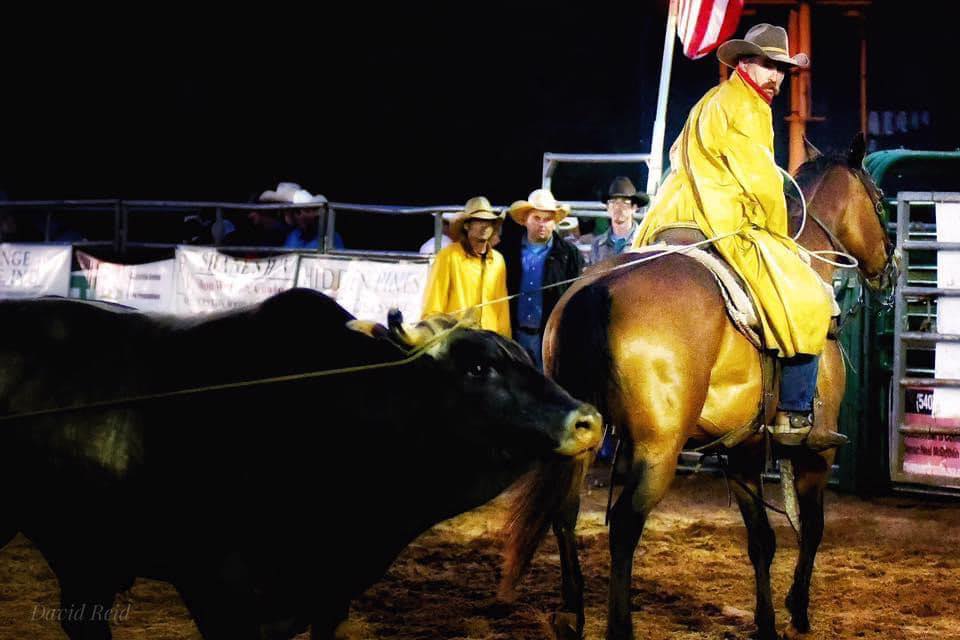 Rodeo and barrel racing photos