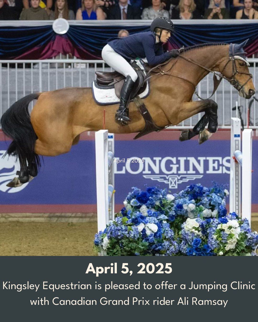 Ontario - Kingsley Equestrian is pleased to offer an exclusive jumping ...