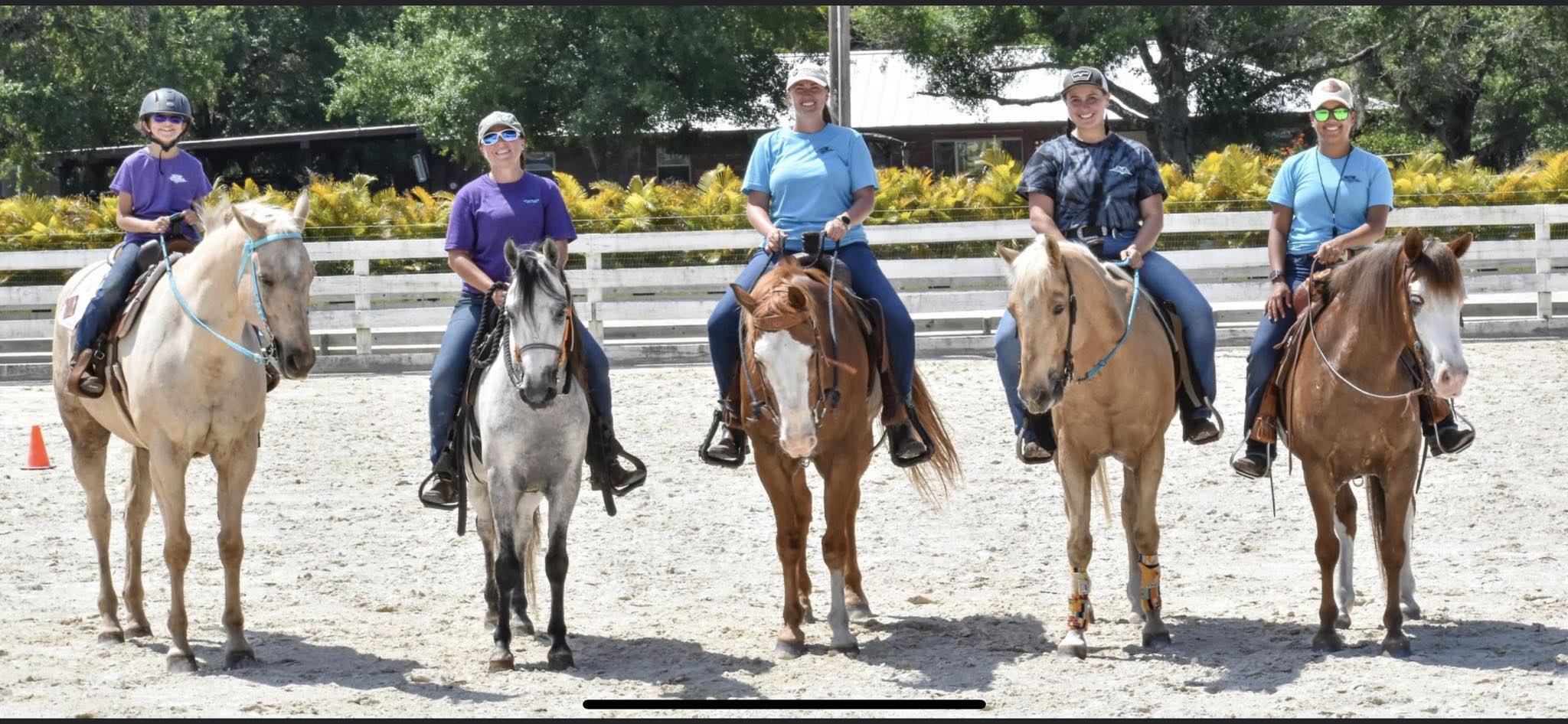 Winning Way Stables added a new photo. - Winning Way Stables