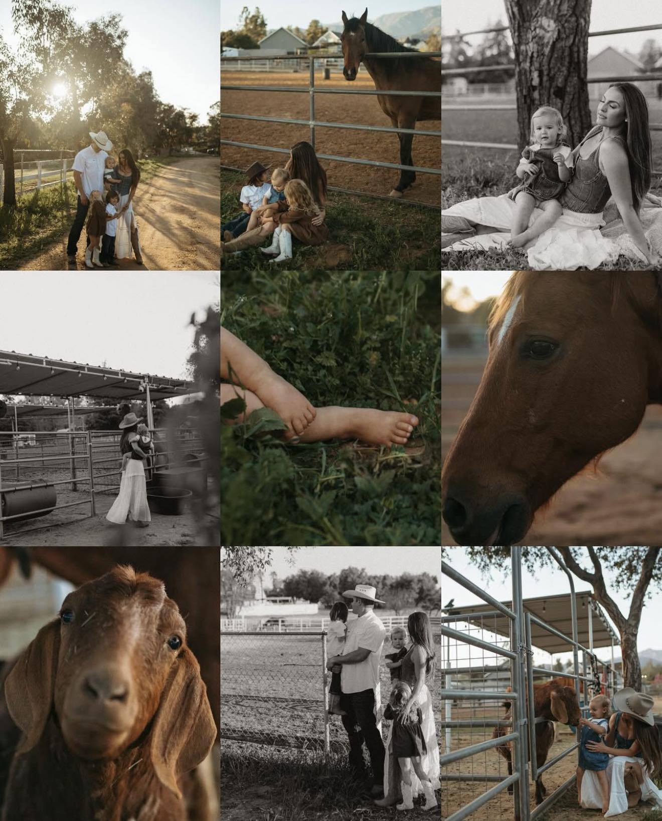 Blooming Ridge Ranch | Cherry Valley CA