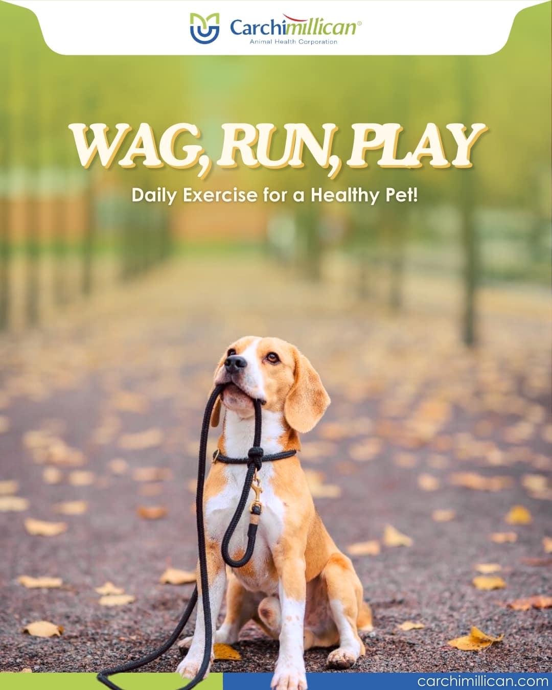 Carchimillican - 🐾 Wag, Run, Play: Daily Exercise for a Healthy Pet! 🐾 ...