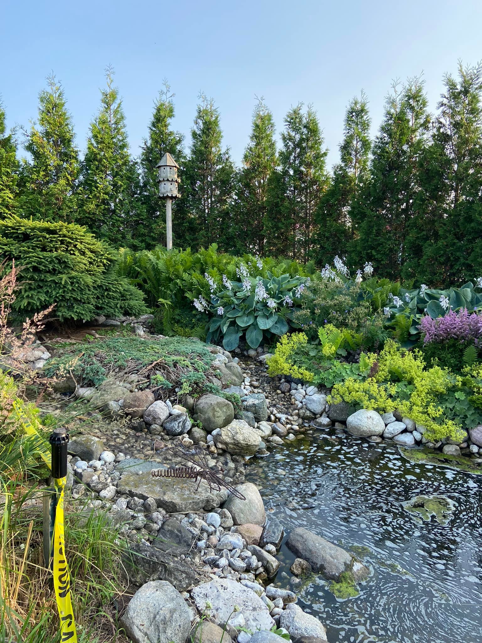 The Garden Door - The renovation of The Pond in The Garden...