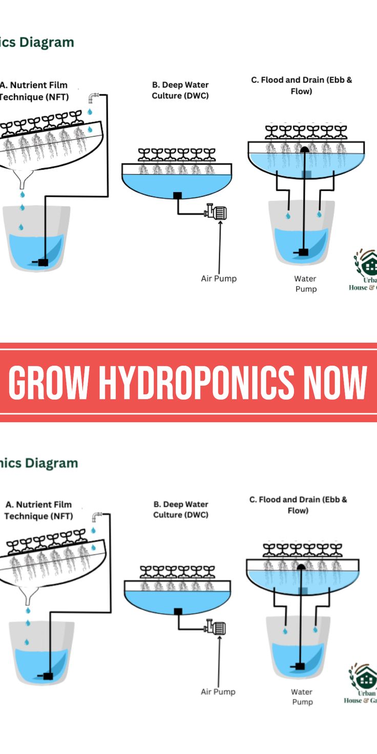 Next - This diagram illustrates three popular hydroponic growing ...